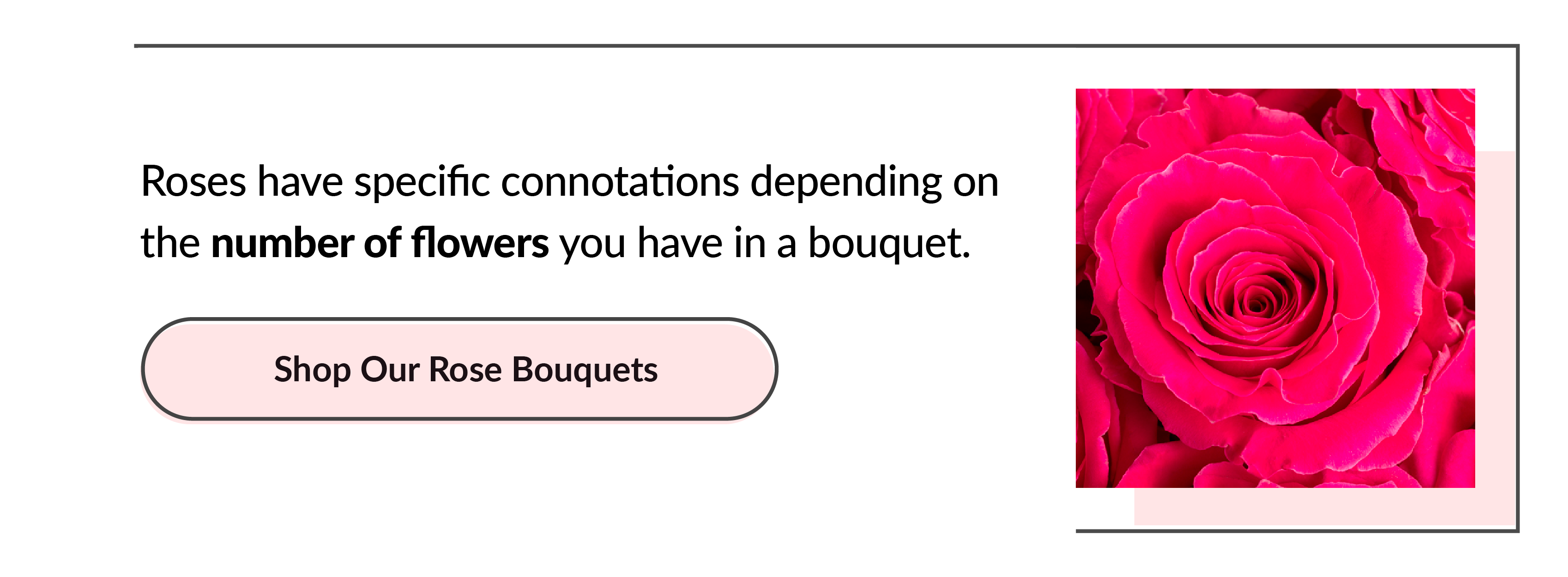 Rose connotations