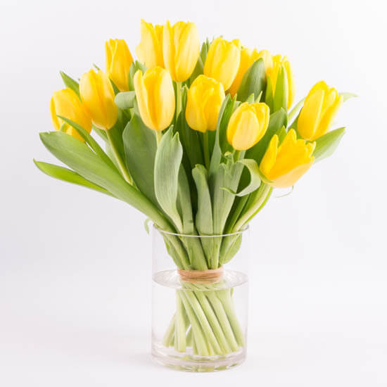 Flowers & Dating Guide