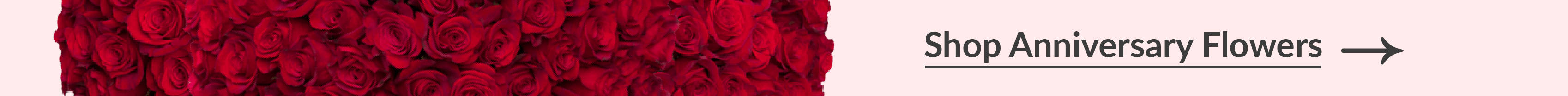 Shop anniversary flowers