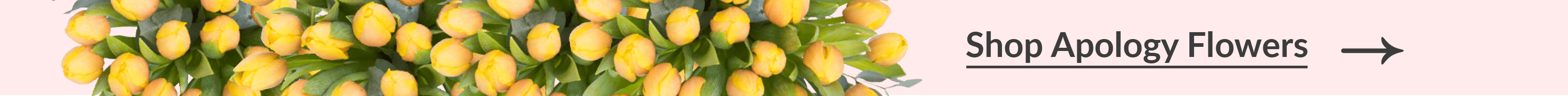 shop apology flowers