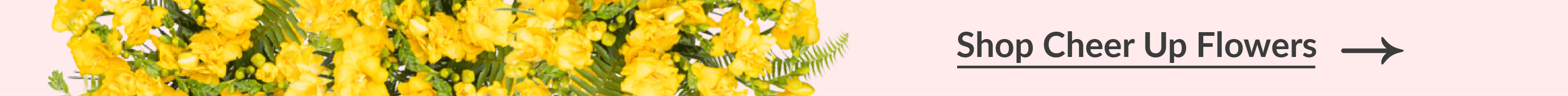 shop cheer up flowers