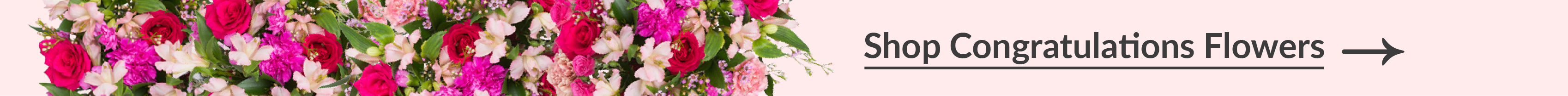 shop congratulations flowers