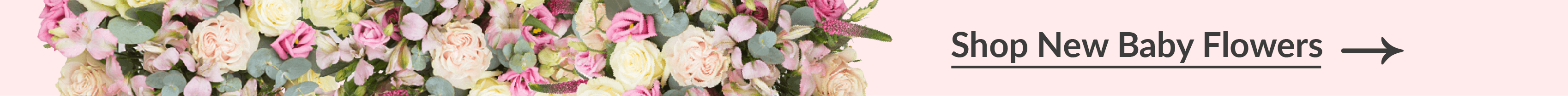 shop new baby flowers