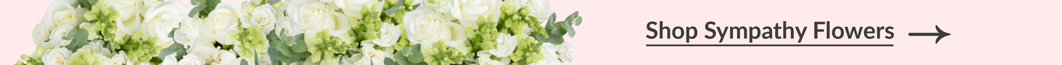 shop sympathy flowers