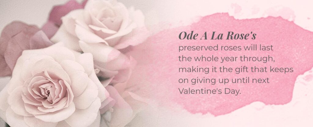 preserved roses, valentines day ideas los angeles