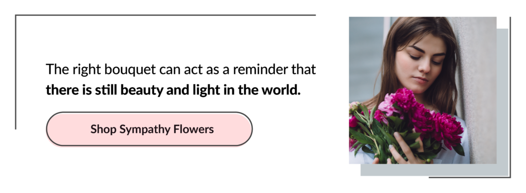 Beauty and light in the world