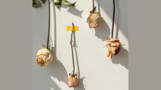 How to Dry Roses and Keep Their Color - air dry roses