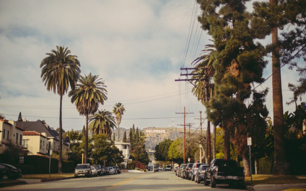 Scenic Drive + a Romantic Viewpoint