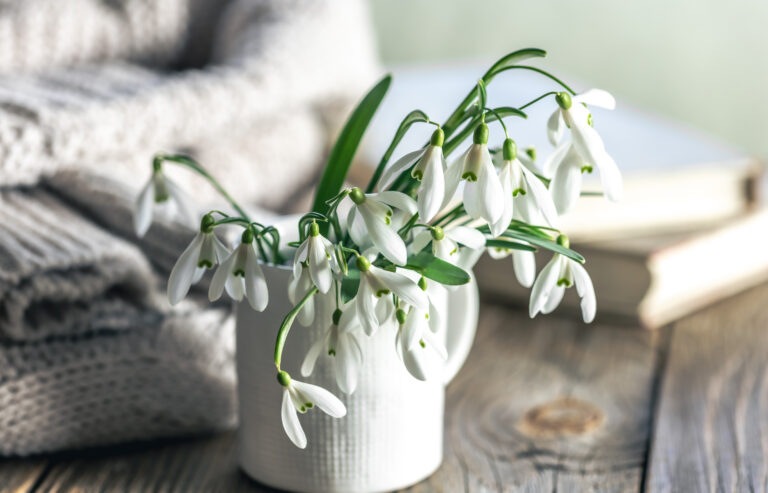 january birth flowers