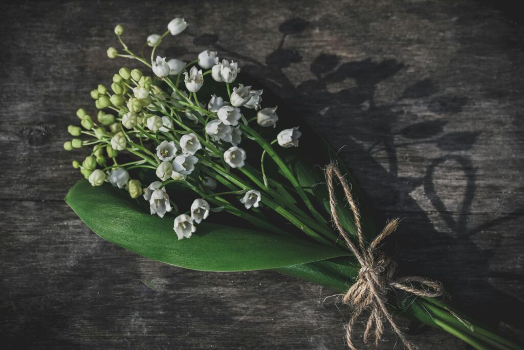 may birth flower in home decor