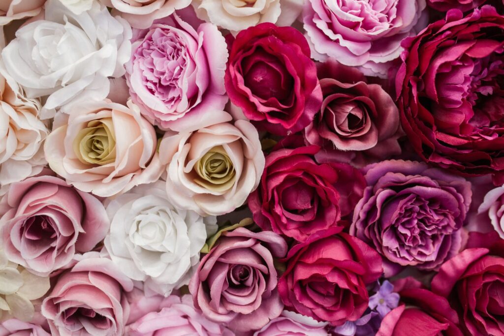 roses june birth flower