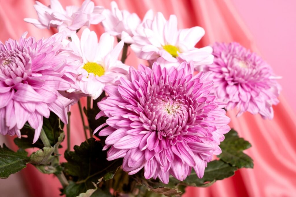 birth flowers