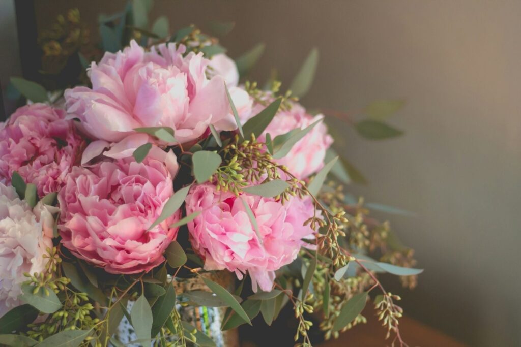 peony birth flower