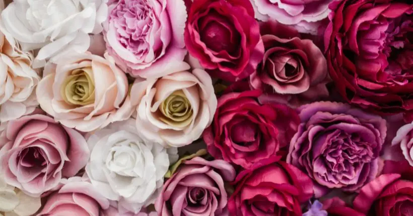 Pairing Pink Roses in Floral Arrangements