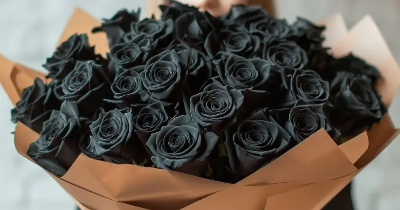 When to Gift Black Roses