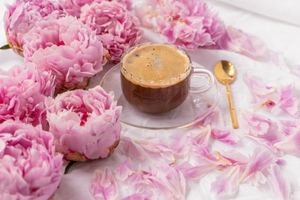 Occasions & Gifting Ideas for Pink Peonies