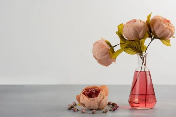 What Does a Pink Peony Symbolize