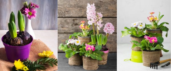 For Mothers Who Love Garden Flowers