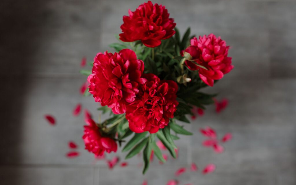 What Are Traditional Mother's Day Flowers