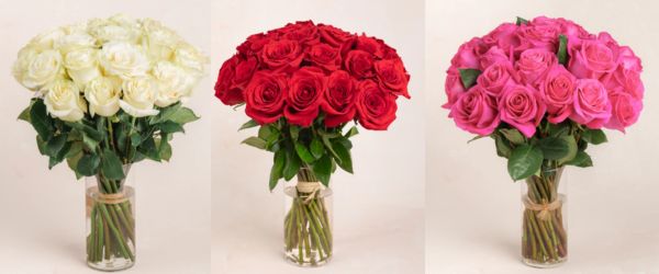 For Cheerful and Energetic Mothers