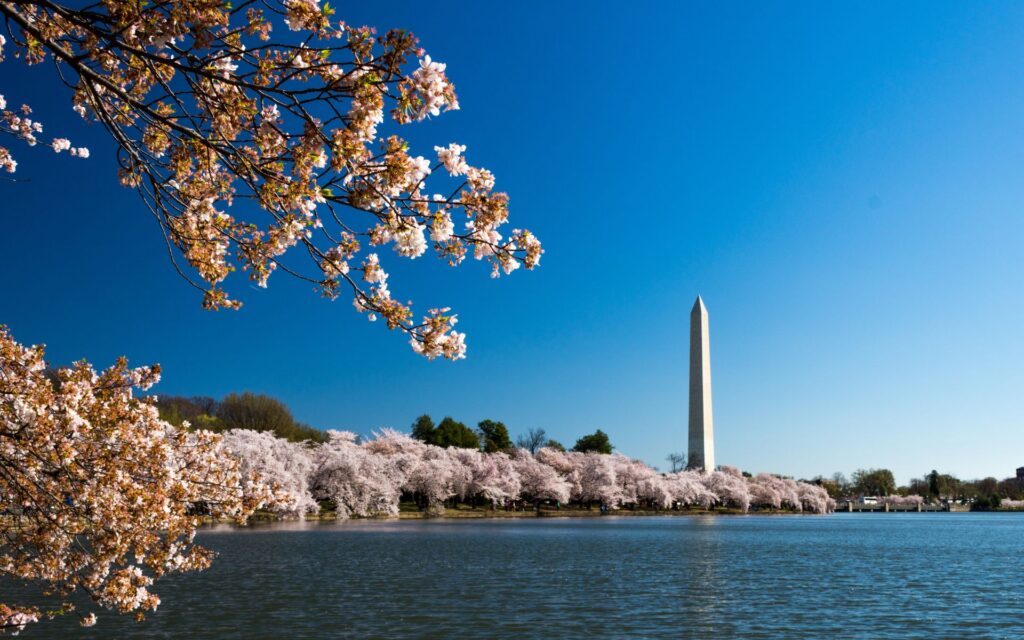 How to Plan a Smooth Mother’s Day in Washington, D.C.