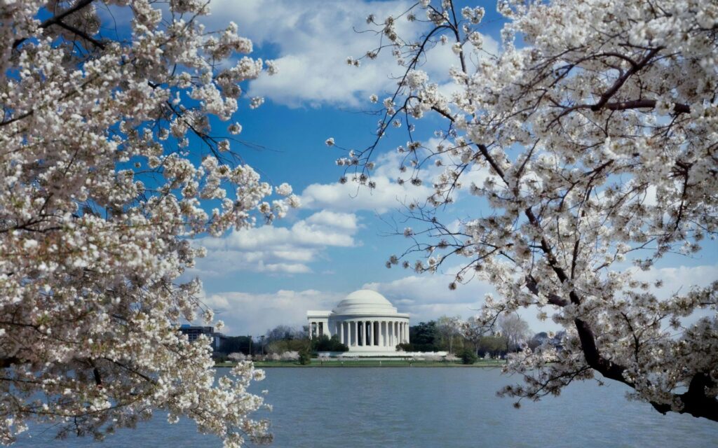 Outdoor Romantic Activities in Washington