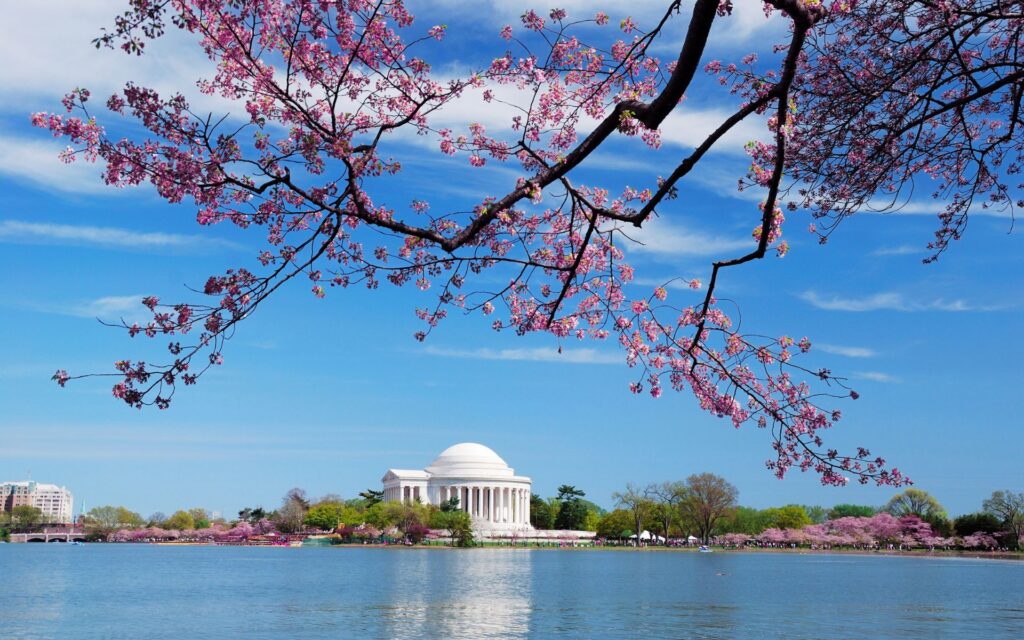 mother's day washington dc