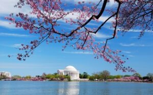mothers day washington dc