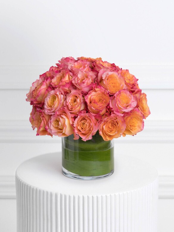 Soleil Centerpiece Collection