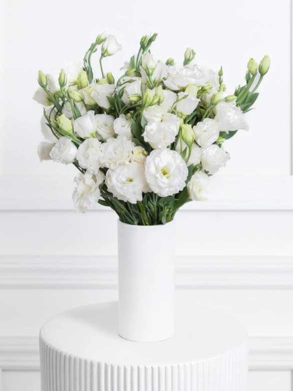 St. Patrick's Day Flowers