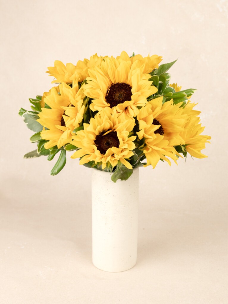 Bright yellow sunflowers with dark centers bloom vibrantly in a tall white ceramic vase, radiating cheer against a soft beige background.