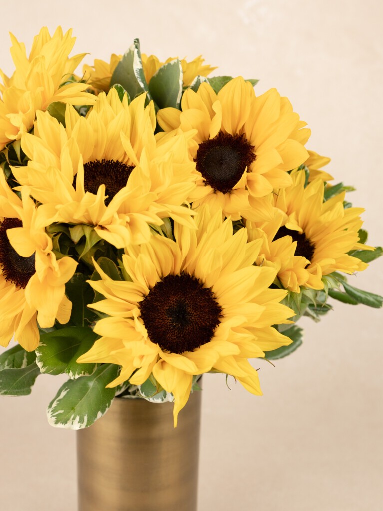 A close-up view of vibrant sunflowers with golden petals and rich brown centers, framed by bold green leaves and set in a gold-toned vase.
