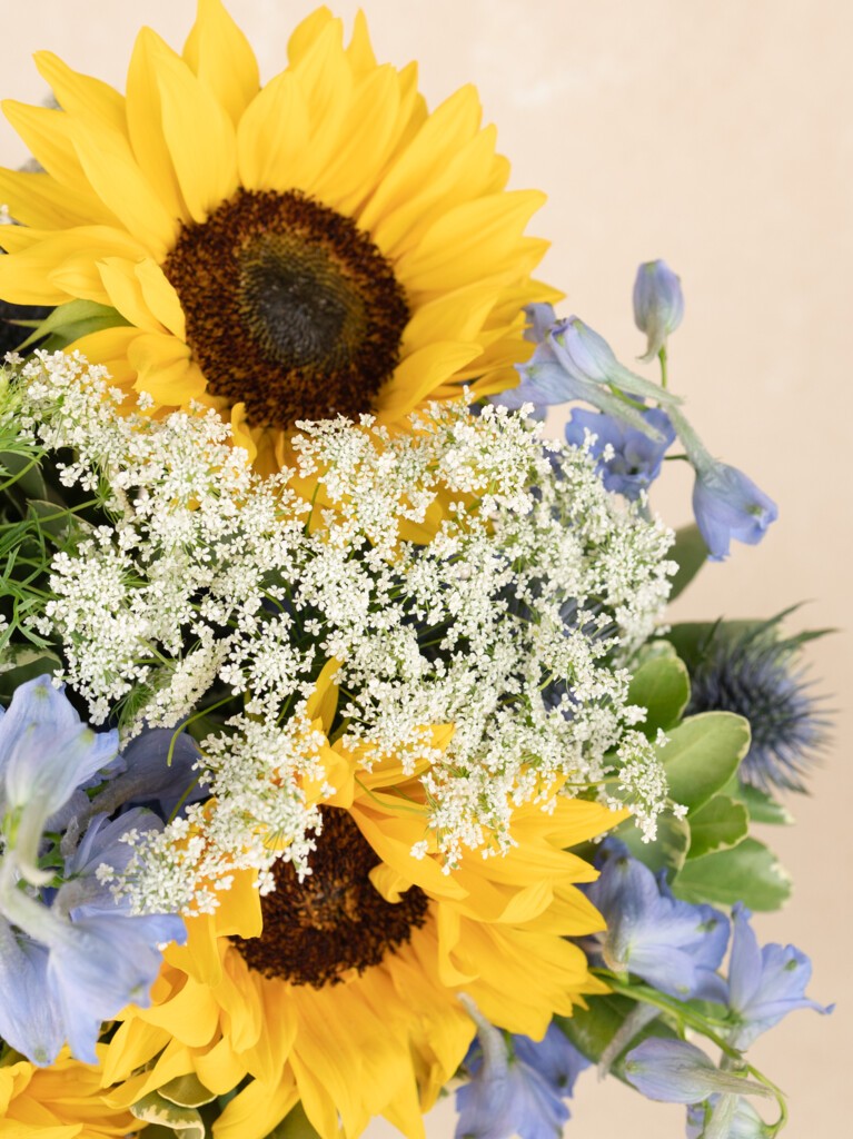 Close-up of a vibrant sunflower arrangement featuring bold yellow petals, airy Queen Anne’s lace, soft blue delphiniums, and striking thistle for a joyful, textural burst.