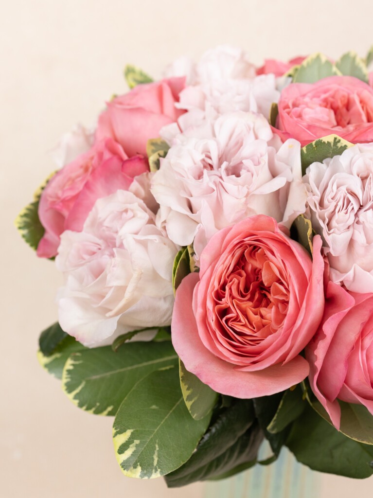 Close-up of 23-stem bouquet with soft pink and blush garden roses, layered ruffled petals, and glossy green foliage, showcasing bloom detail.