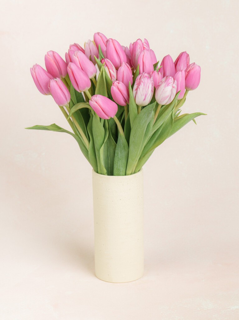 A full 30-stem bouquet of vibrant pink tulips styled in a clean white vase, showcasing smooth stems and lush green leaves flaring out naturally.