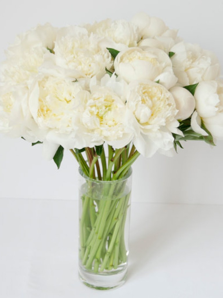 Chic arrangement of 15 white peonies in a clear glass vase, with delicate, full blooms gently overlapping and their clean green stems elegantly gathered in water.