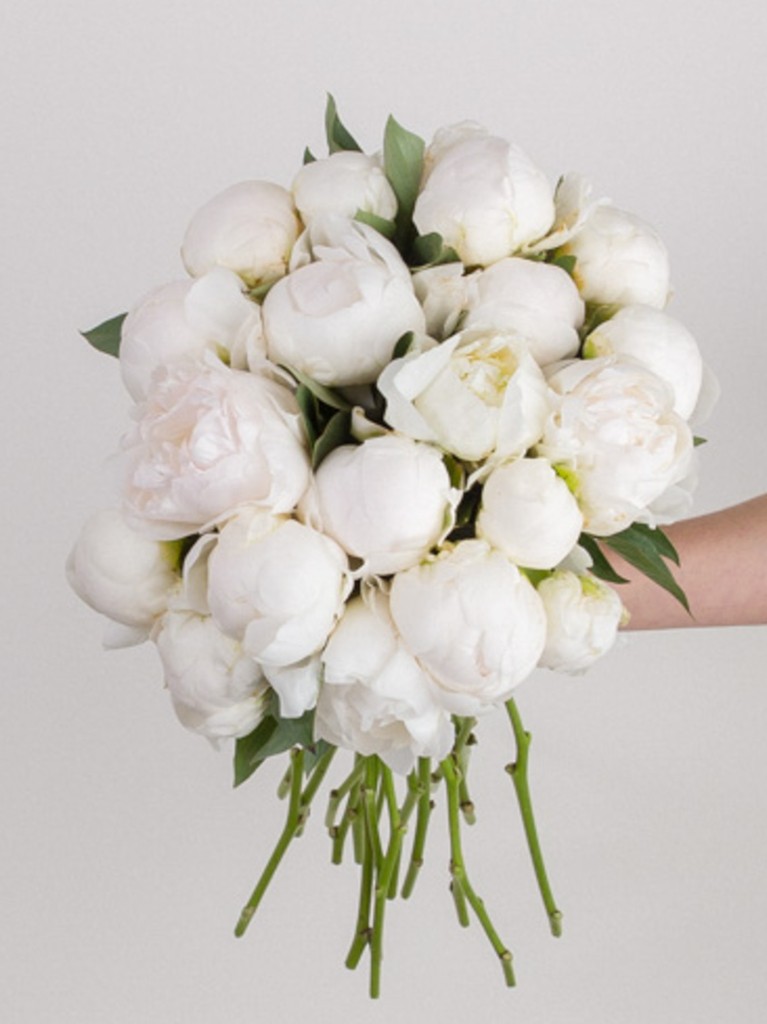 Refined bouquet of 15 white peonies held together by hand, showcasing softly rounded blossoms with hints of unfolding ruffles for a fresh, natural look.