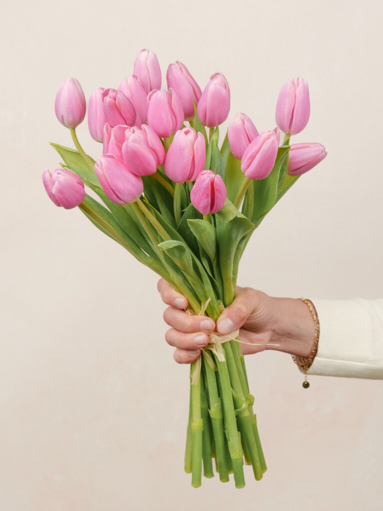 Danielle Pink Tulips