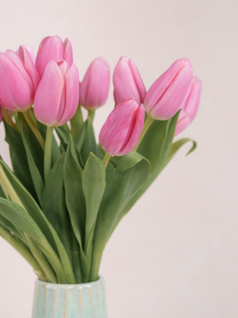 Danielle Pink Tulips