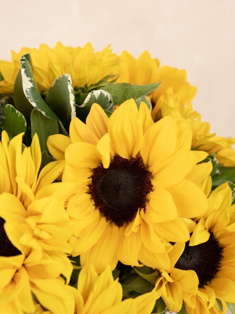 Close up of sunflower from beautiful flower arrangement Helios, perfect gift for birthdays and other important life occasion